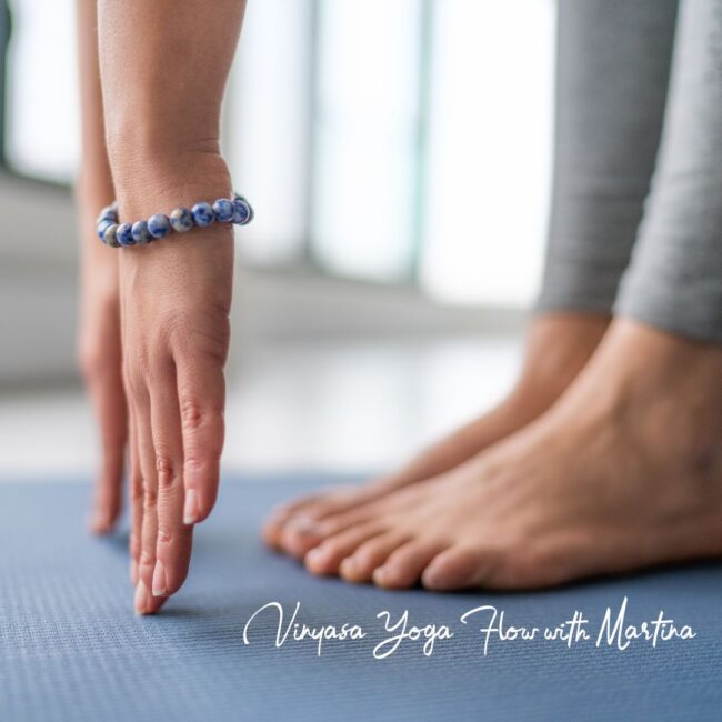 Vinyasa Yoga Flow @river holistic