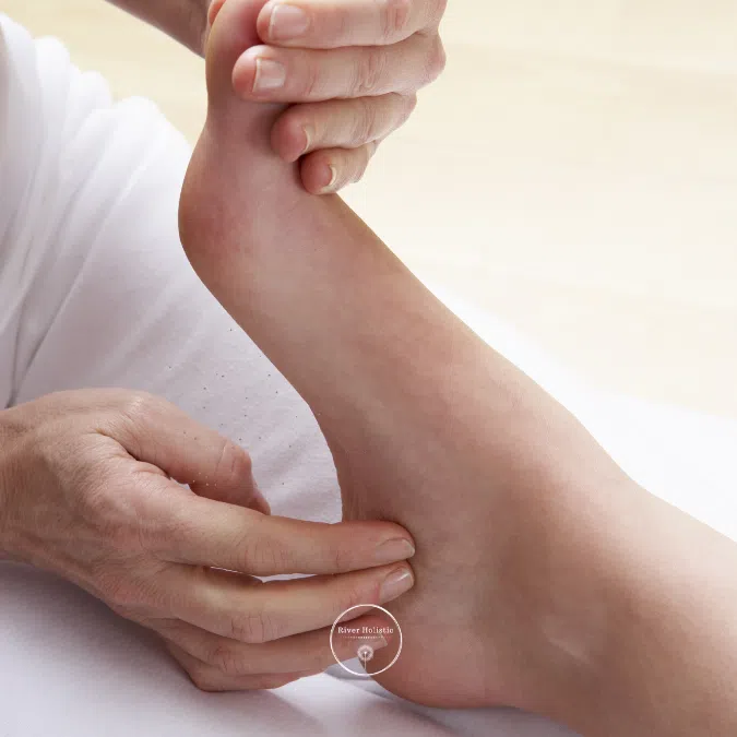 cover of Fertility Reflexology @riverholistic