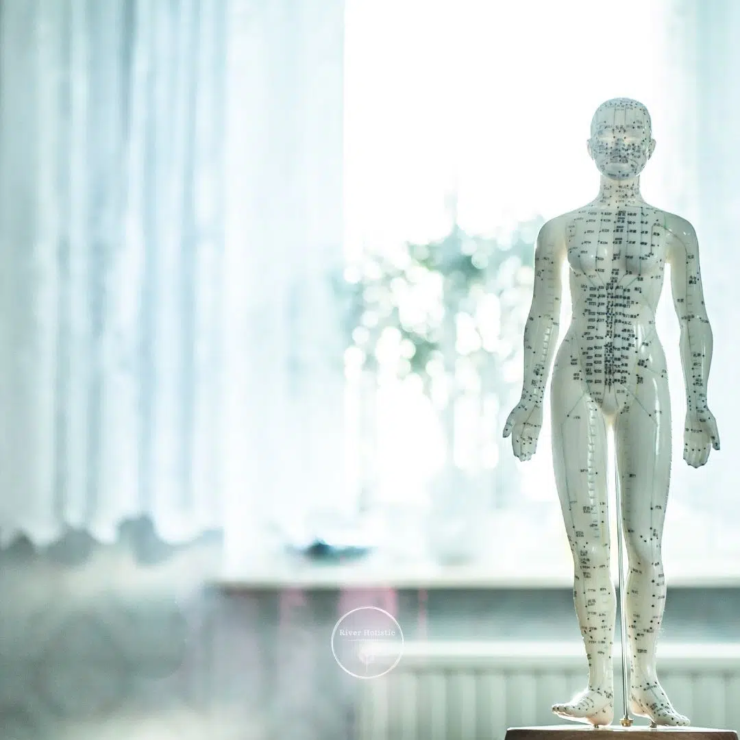 osteopathy at river holistic